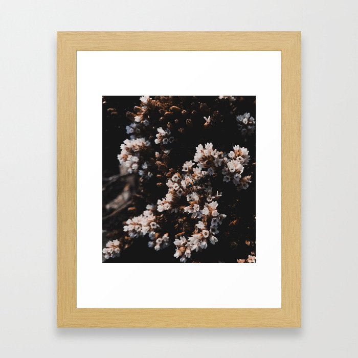 Wildflower Series - Hartz Peak Framed Art Print