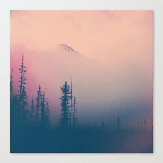 Frozen Forest Canvas Print