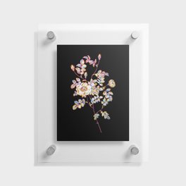 Floral Yellow Sweetbriar Rose Mosaic on Black Floating Acrylic Print