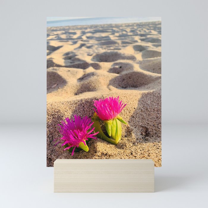 Bright Sandy Beach With Tropical Pink Flowers  Mini Art Print