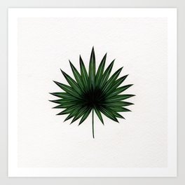 Palm Fan Art Print