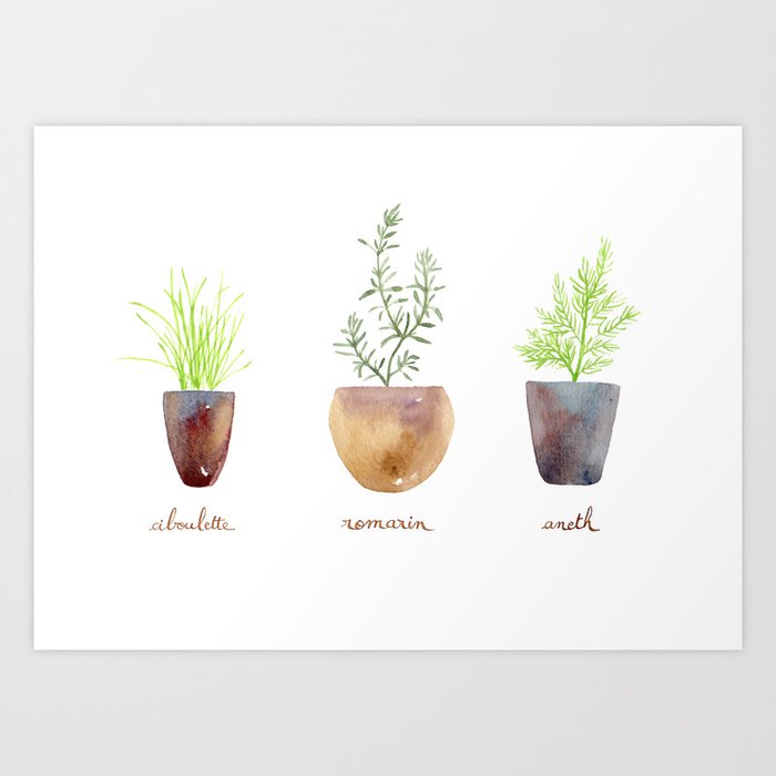 Chives, dill and rosemary Art Print