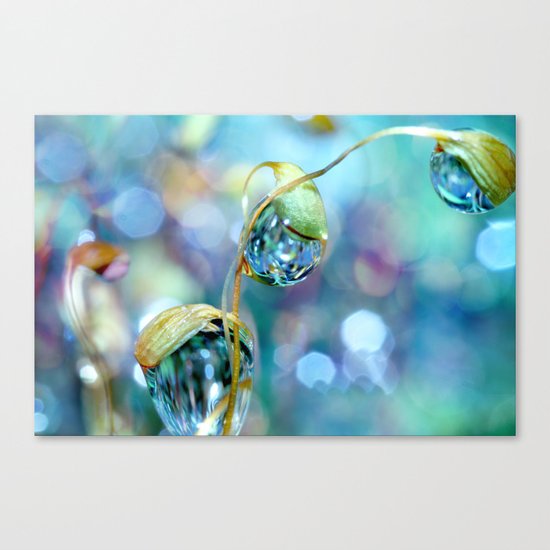 Rainbow Moss Drops Canvas Print