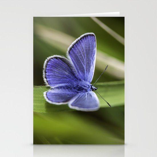 Beautiful Blue Stationery Cards
