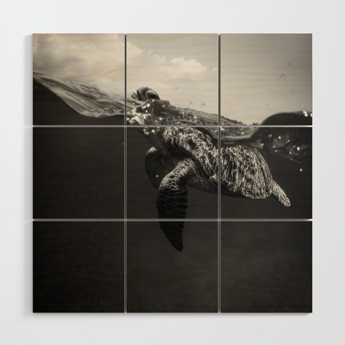 Sea turtle swimming ocean deep for beach and land nature black and white photograph / photography Wood Wall Art