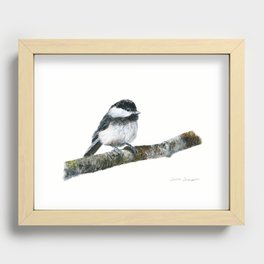 Black-capped Chickadee by Teresa Thompson Recessed Framed Print
