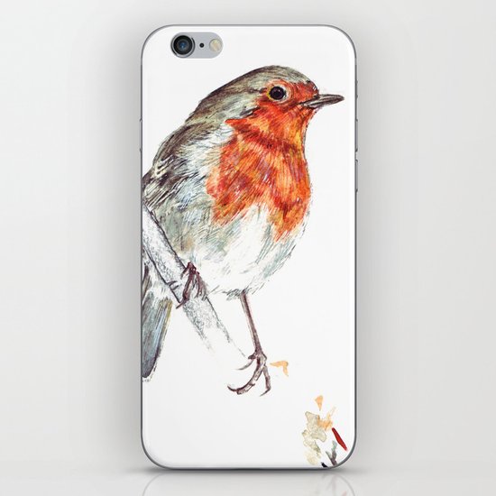 European Robin iPhone & iPod Skin