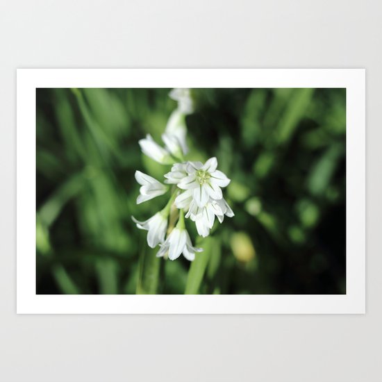 Flowers Art Print
