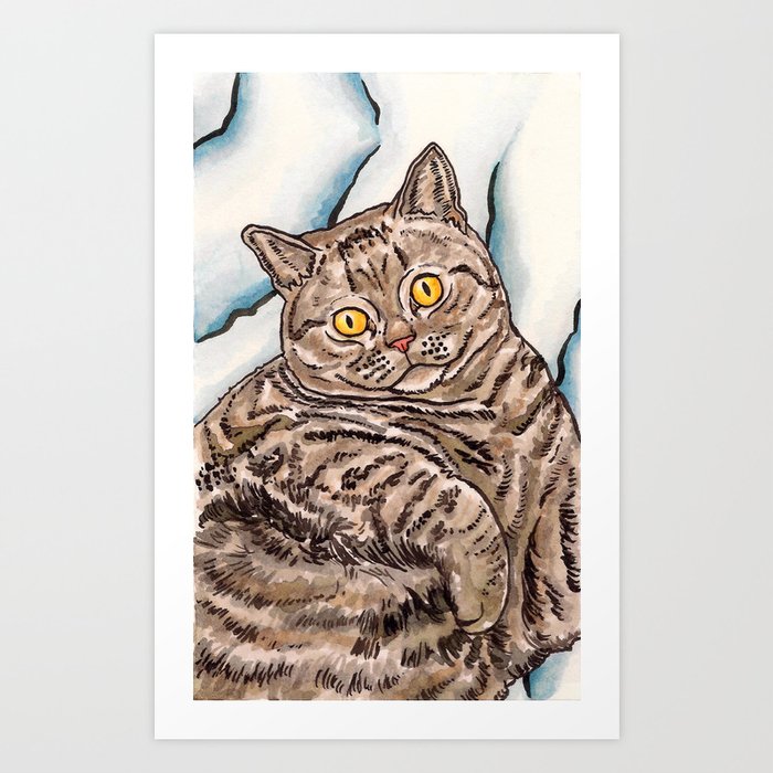 Grey Cat Art Print