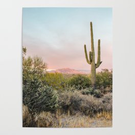 Desert Mountains Saguaro Cactus Blue & Pink Sunset Phoenix Arizona Poster