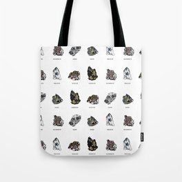 Rock collection with names Tote Bag