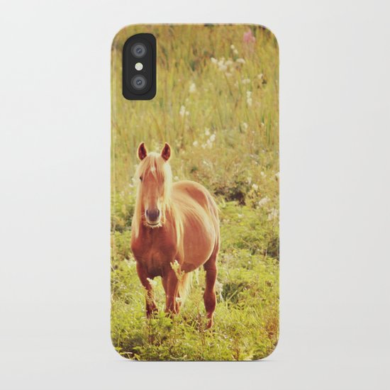 All the Pretty Horses iPhone Case