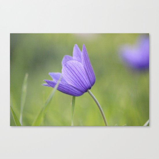 An Old Fairy Tale Canvas Print