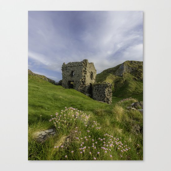 Summer flowers at Kinbane Canvas Print