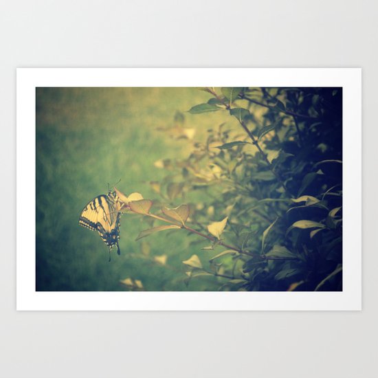 Butterfly Art Print