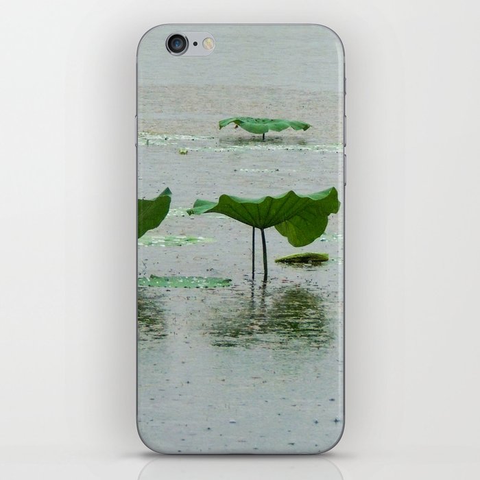Lotus Leaves on a Rainy Day iPhone Skin