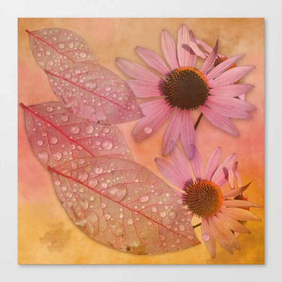 Raindrops on leaves and flowers Canvas Print