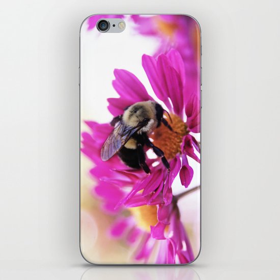 Queen Bee iPhone & iPod Skin