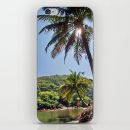 Palm Tree With a Clear Blue Sky iPhone Skin
