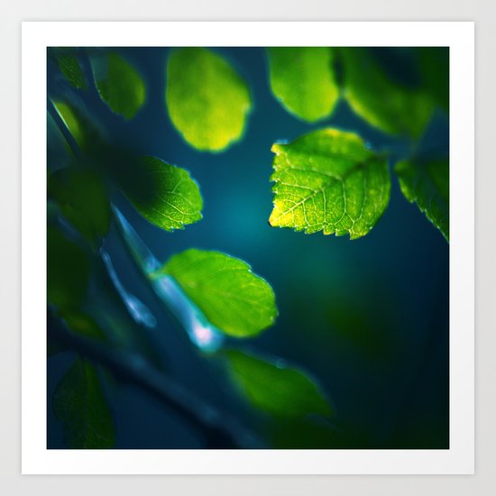 Nature Blues Art Print