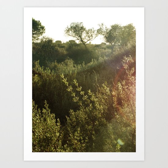 primavera Art Print