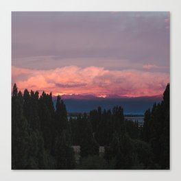 Argentina Photography - Pink Sunset Over The Argentine Forest Canvas Print