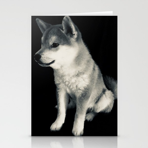 Silver shiba shop inu