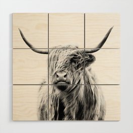 portrait of a highland cow (horizontal) Wood Wall Art