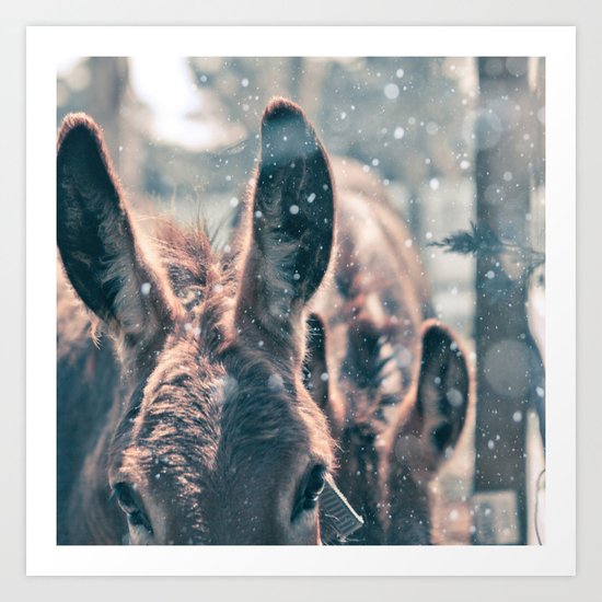 Snowing Donkey Art Print