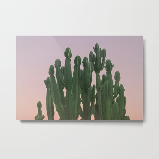 Wild Cactus Metal Print
