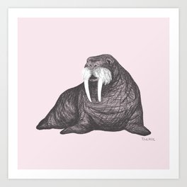 Frank Wallace in Pink | Nursery Art Walrus Drawing Art Print