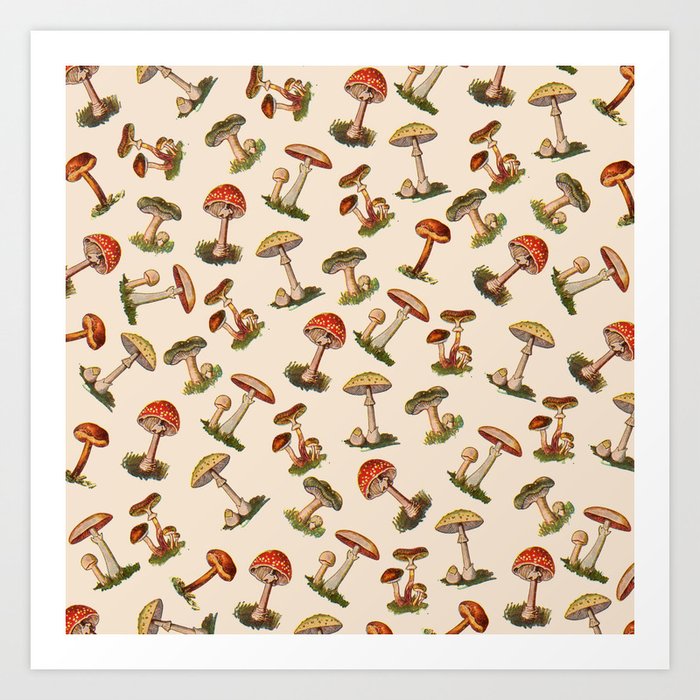 Magical Mushrooms Kunstdrucke Magical Mushrooms Kunstdrucke