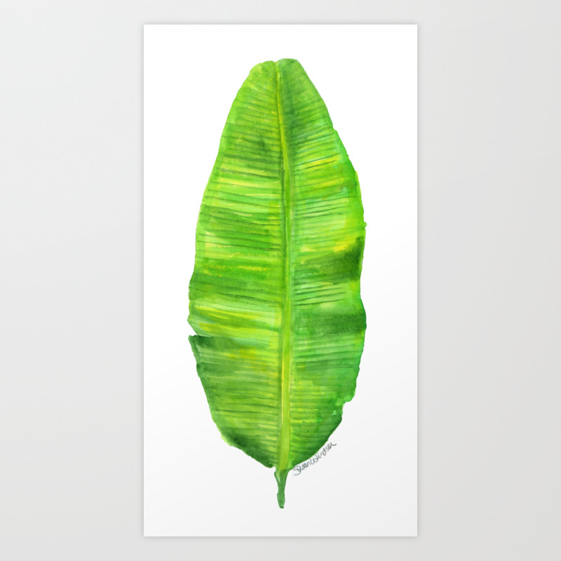Banana Leaf Watercolor Painting Art Print By Susanwindsor Society6