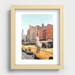 Alpaca in New York Recessed Framed Print