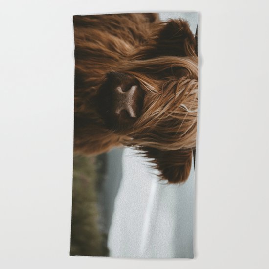 Scottish Highland Cattle Beach Towel