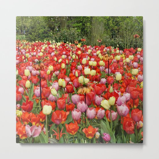 Colorful Tulips #2 Metal Print