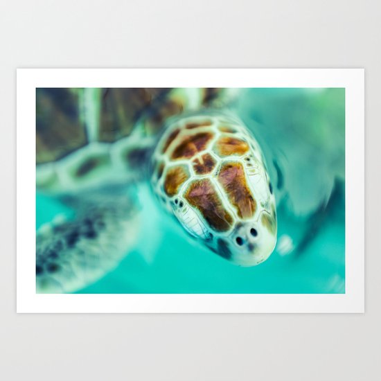 Cute Little Sea Turtle Art Print