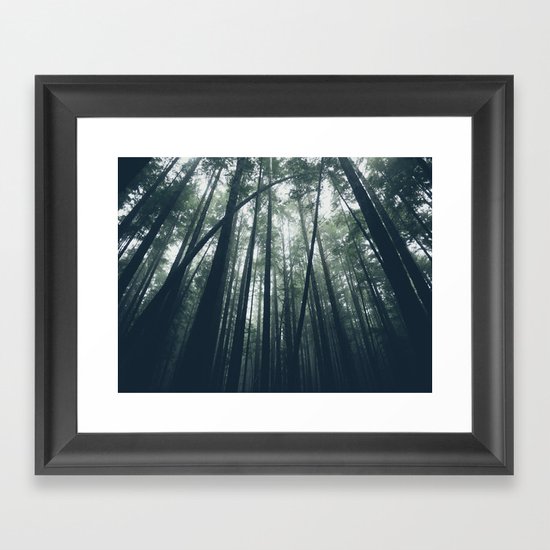 Trees Framed Art Print