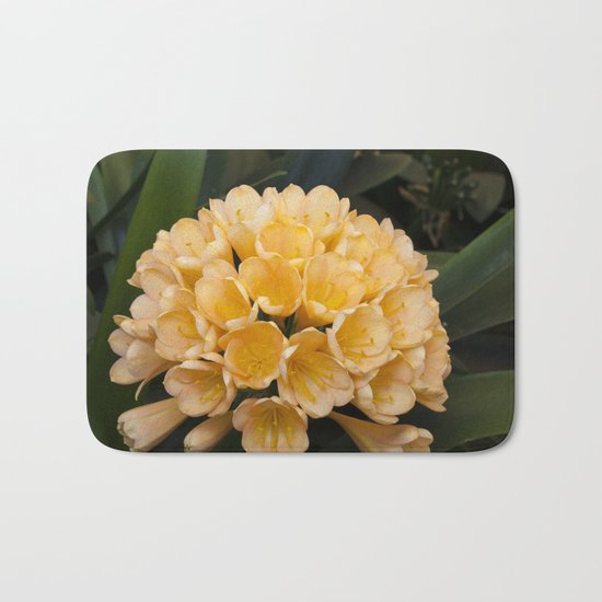 Clivia Apricot Bath Mat