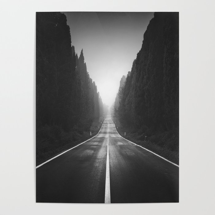 Viale di Bolgheri in a foggy morning. Italy Poster