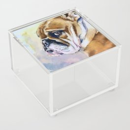 Bulldog Love Acrylic Box