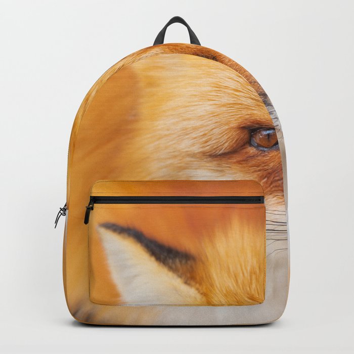 Japanese red fox resting, sleeping and playing in the white snow forest background in Japan Backpack