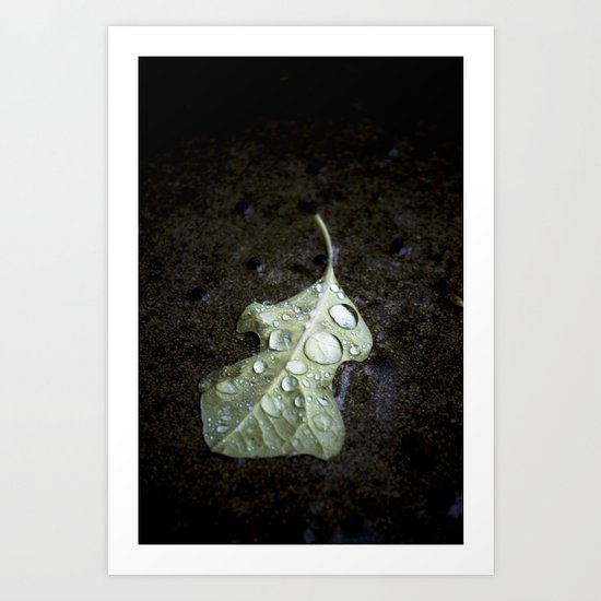 autumn rain. Art Print