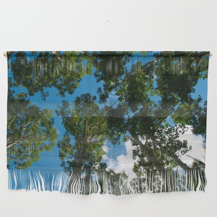 Birch Trees in the Sky  Wall Hanging