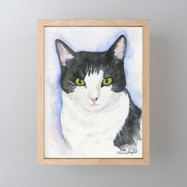 Here Kitty Kitty - Stormy Black and White Cat Framed Mini Art Print