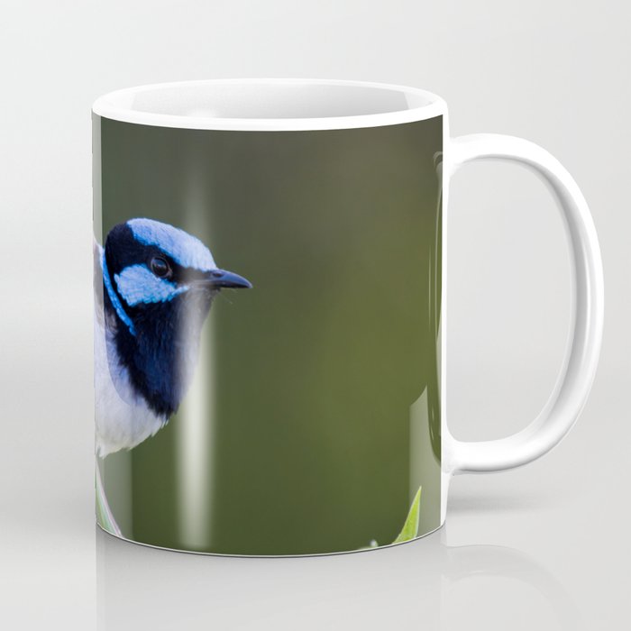 Superb Fairy-Wren Coffee Mug