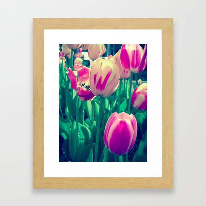 Flowers in Bloom Framed Art Print