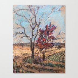 Red Tree in Autumn Canvas Print