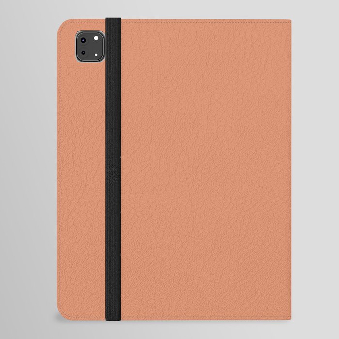 Pale Copper Solid Color iPad Folio Case