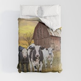 Cattle in the Midwest with Barn and Tractor at Sunset Comforter